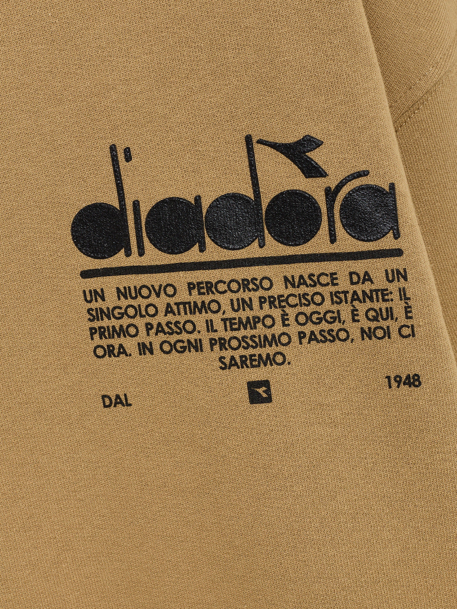 Diadora - Felpa Manifesto con cappuccio in cotone, Beige, large image number 1