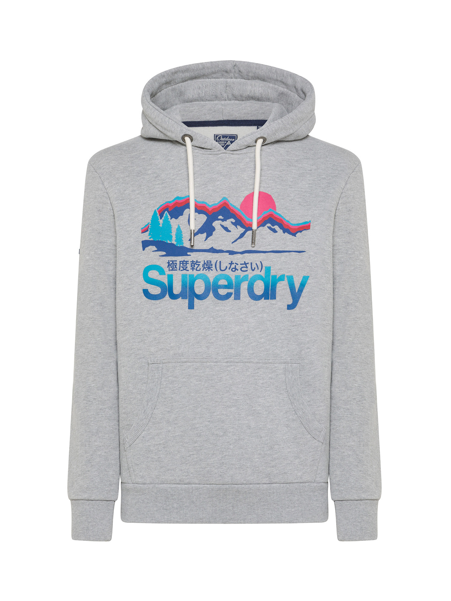 Superdry - Hooded sweatshirt with logo, Grey, large image number 0