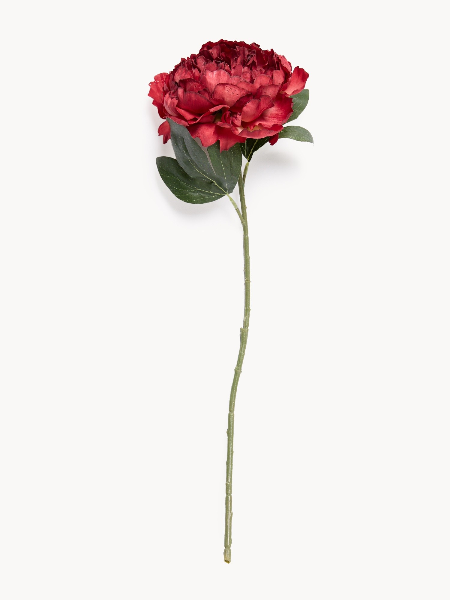 Artificial peony flower, Burgundy, large image number 0