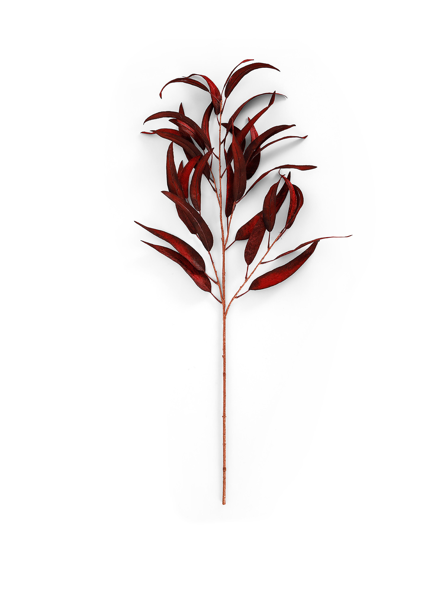 Eucalyptus branch, Red, large image number 0