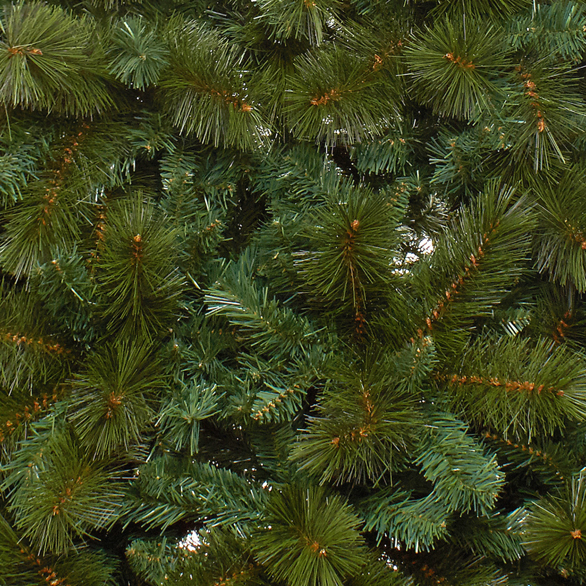 Albero di Natale Polo Sud H 180 cm, Verde scuro, large image number 1