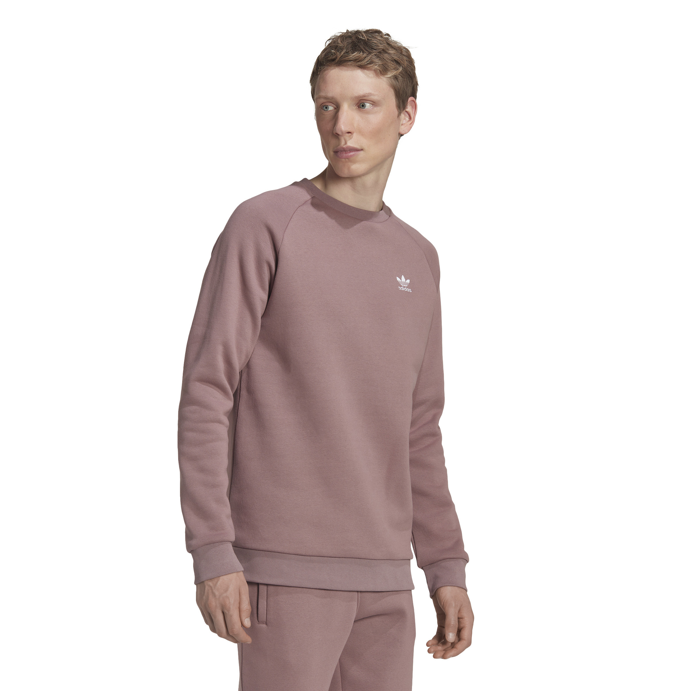 Adidas - Adicolor essentials trefoil crewneck sweatshirt, Antique Pink, large image number 2