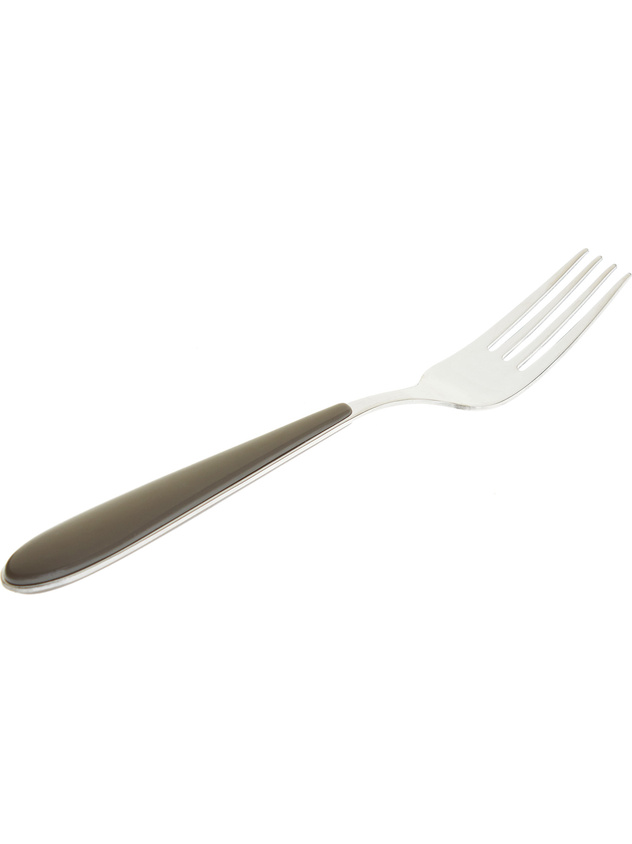 Stainless steel and plastic fork