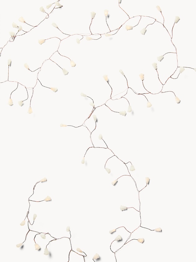 Filo luce pino 180 m