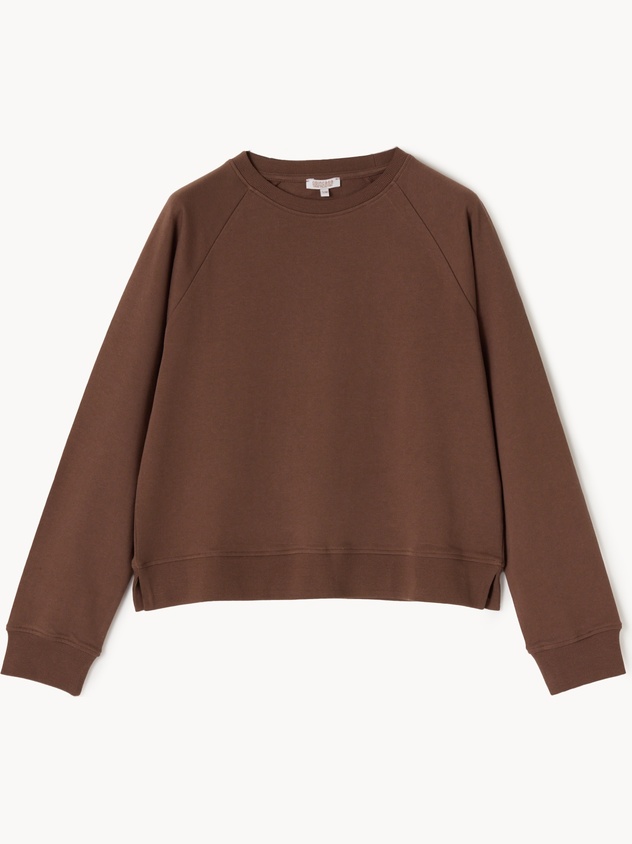Solid-color brushed cotton sweatshirt