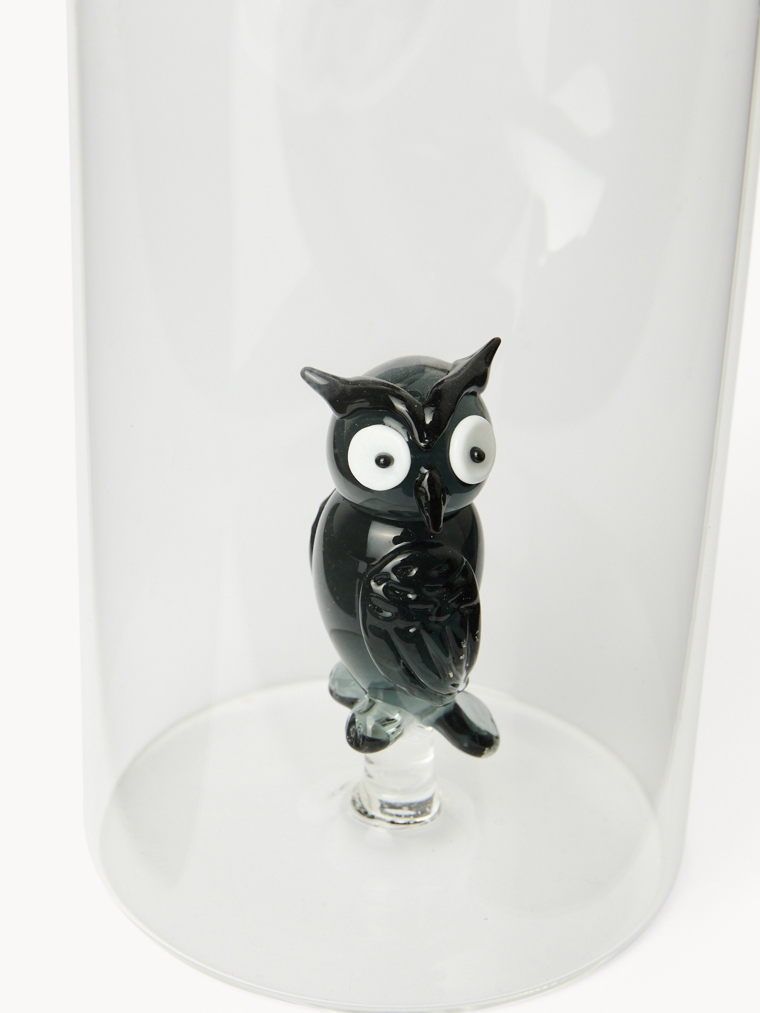 , Transparent, large image number 1