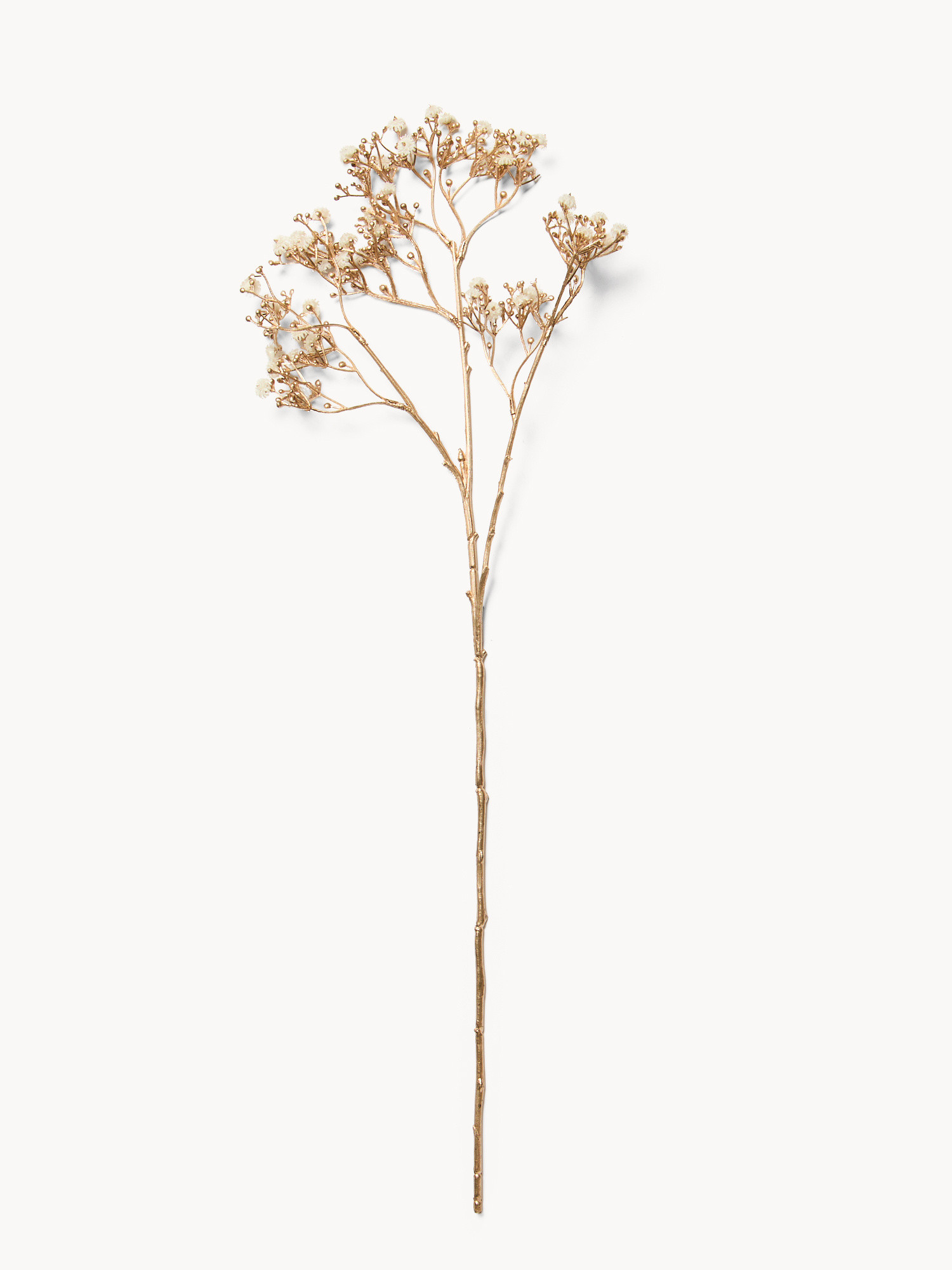 Gysophilia branch, Gold, large image number 0