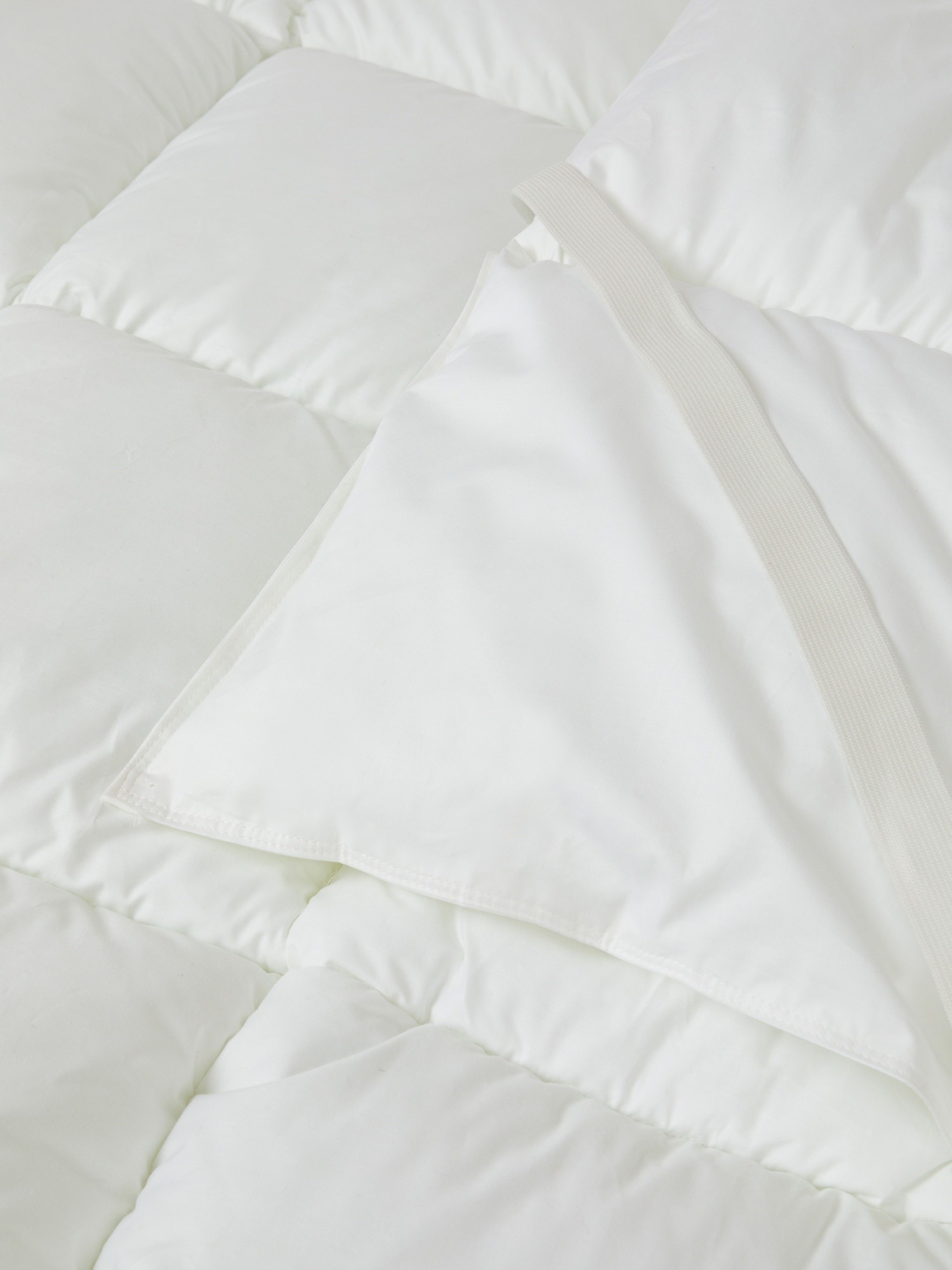 , White 1, large image number 1
