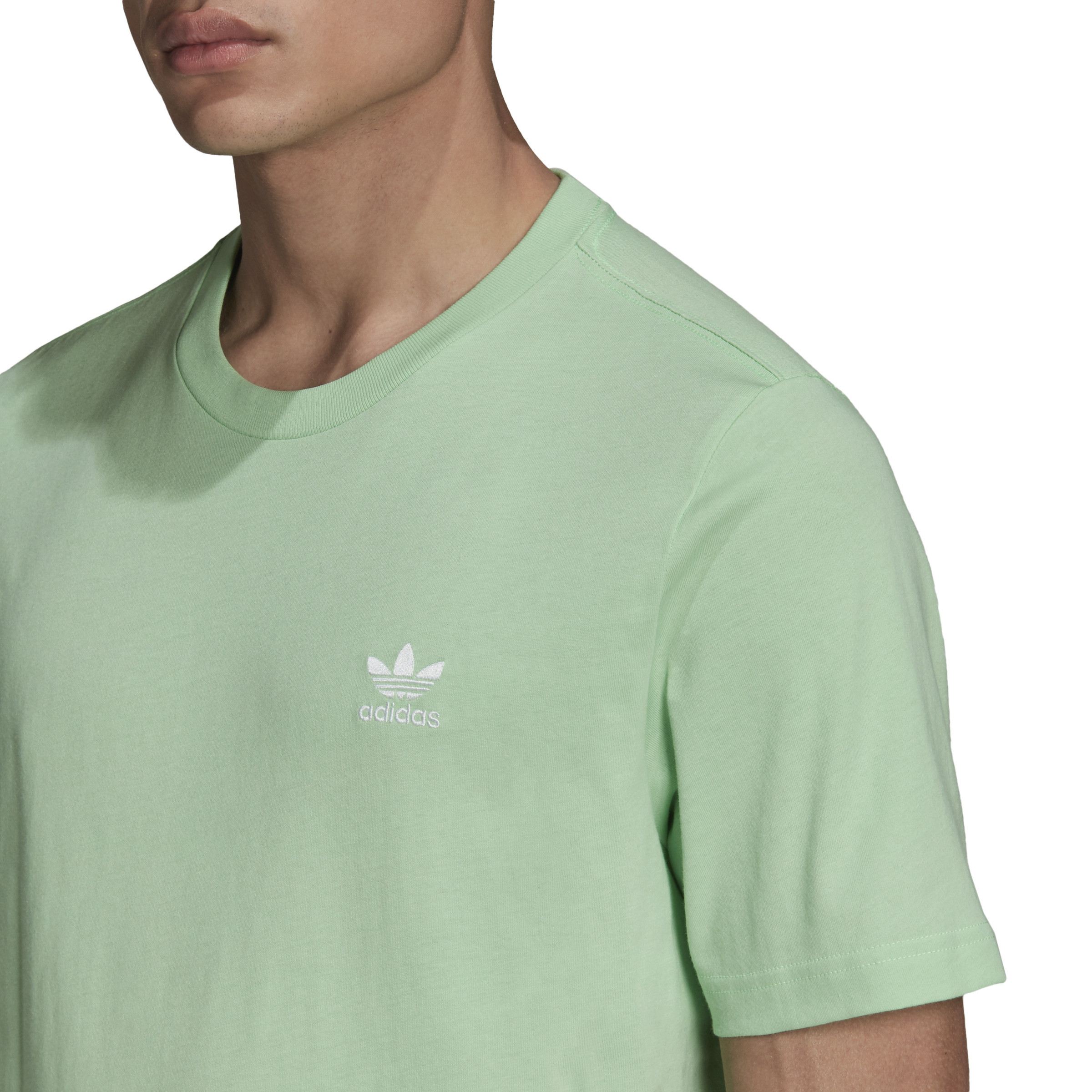Adidas - T-shirt adicolor con logo, Verde chiaro, large image number 4