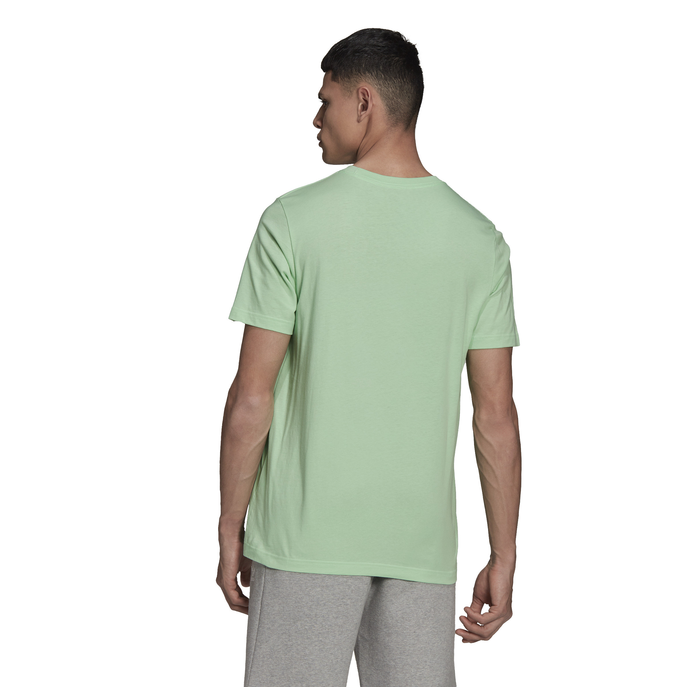 Adidas - T-shirt adicolor con logo, Verde chiaro, large image number 3