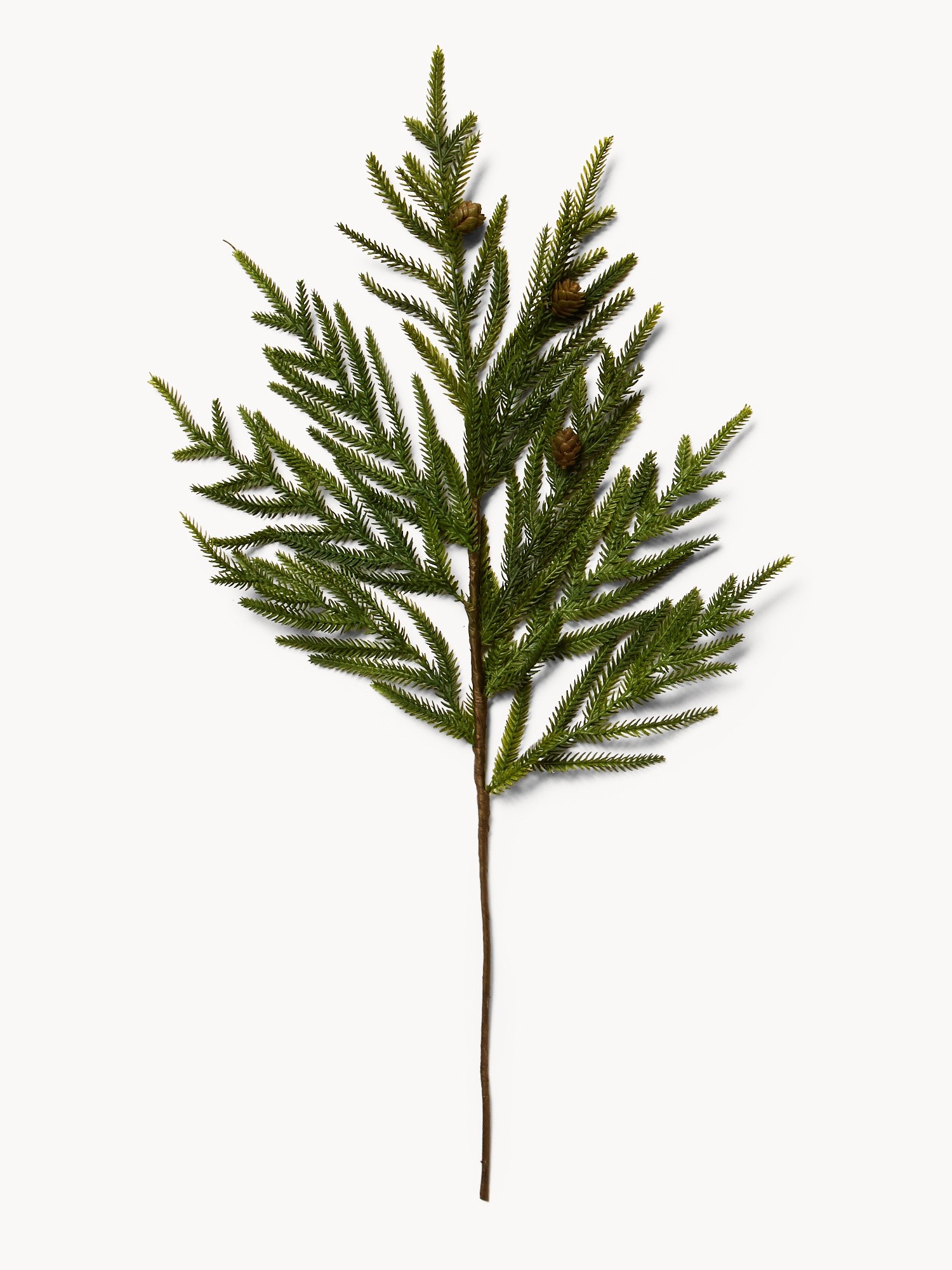 Rametto cryptomeria con pigne, Verde, large image number 0