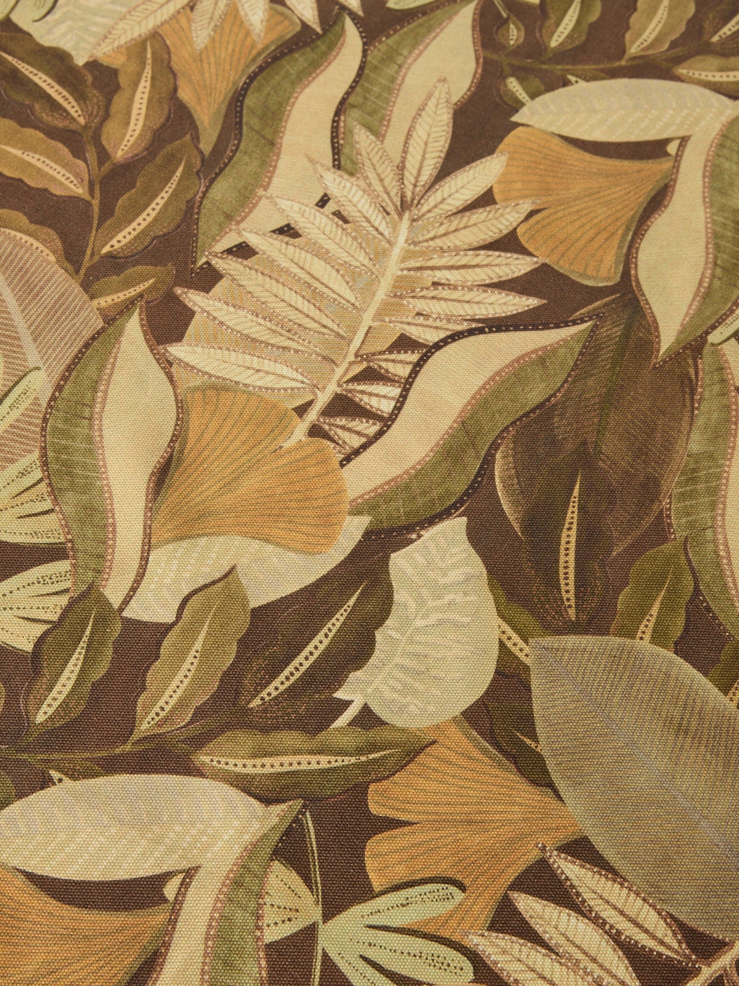 , Brown, large image number 1
